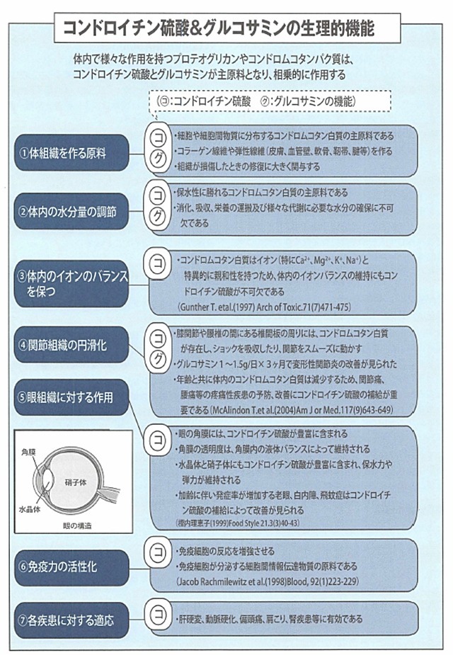 記事画像2