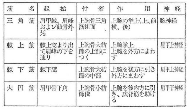 (6)―1 上肢帯筋