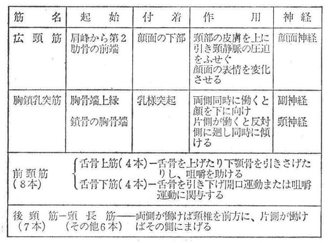 (2)頸部の筋
