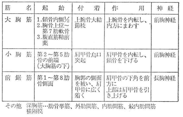 (4)胸部の筋(浅胸筋)