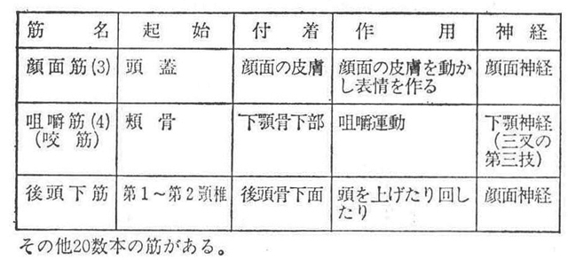 (1)頭部の筋