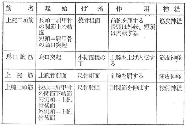 (6)―2 上腕筋