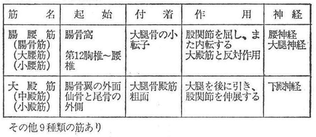 (7)―1 下肢帯筋