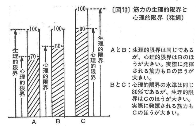 [図10]筋力の生理的限界と心理的限界(猪飼)