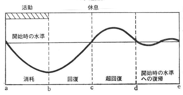 〔図1〕超回復
