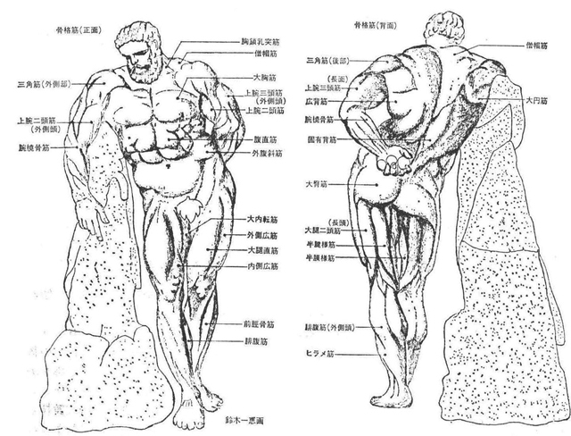 鈴木一恵画