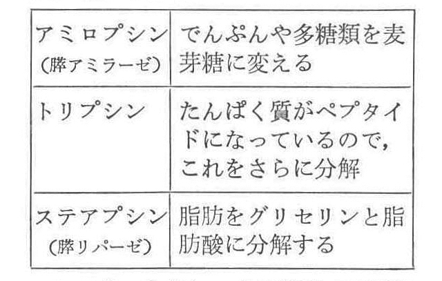 記事画像2