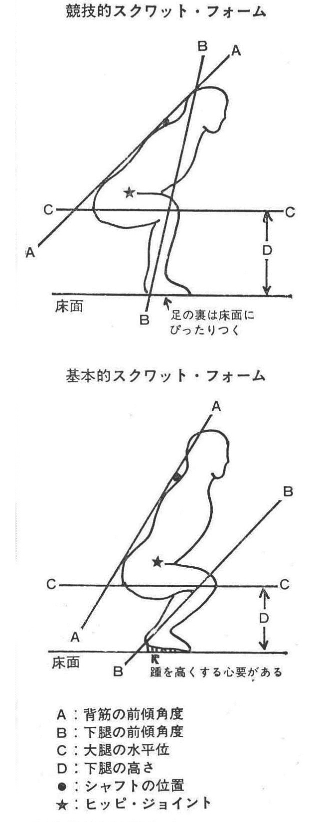 [図2]スクワット・フォームの比較