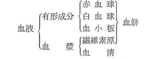 記事画像5