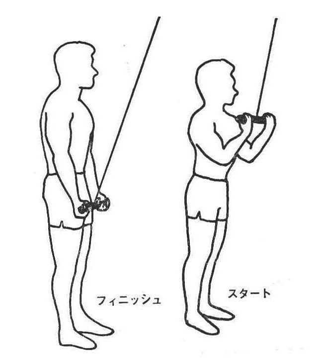 ［図3]スタンディング・アンダーグリップ・プレスダウン