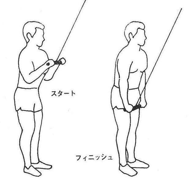 ［図1]スタンディング・トライセプス・プレスダウン