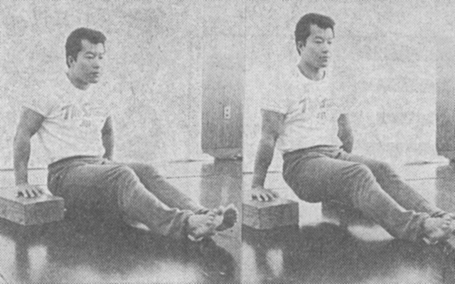 ［写真・２　シーデッド・ディップ］