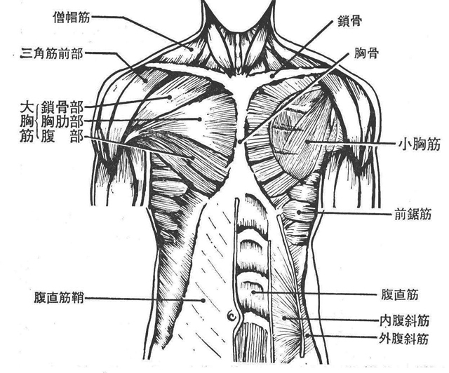 記事画像1
