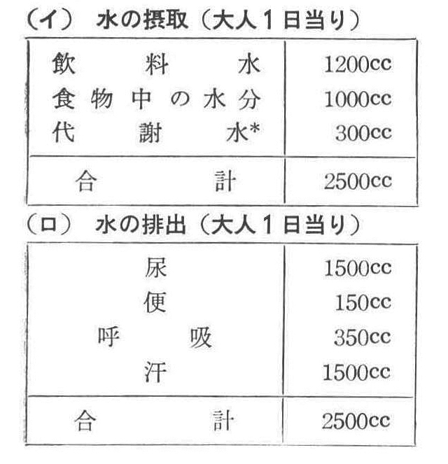記事画像1