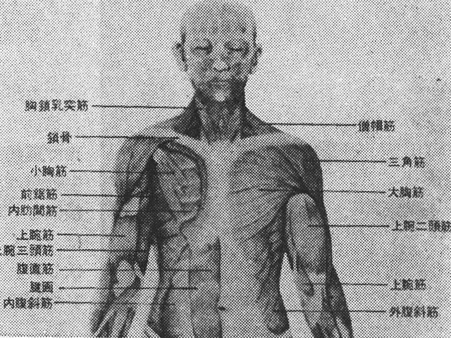 記事画像1