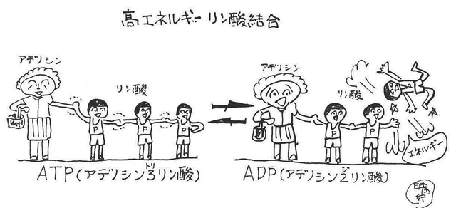 記事画像3