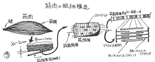 記事画像4