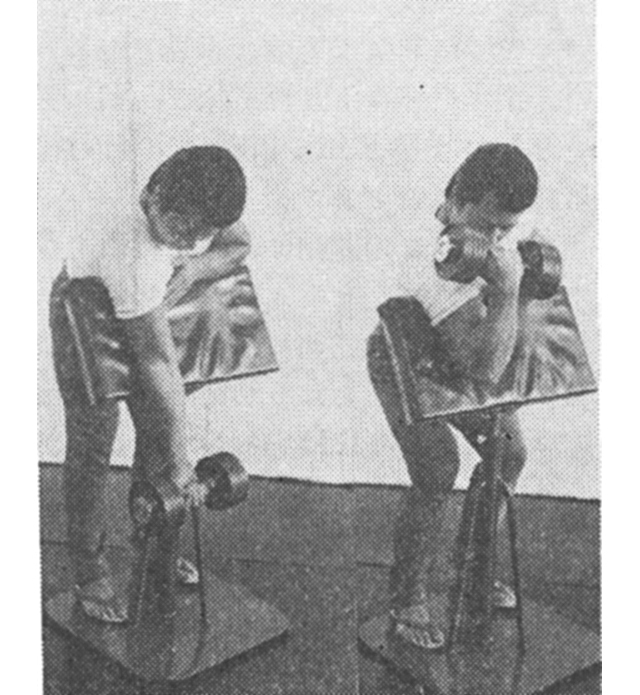 記事画像4