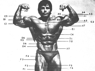 Top