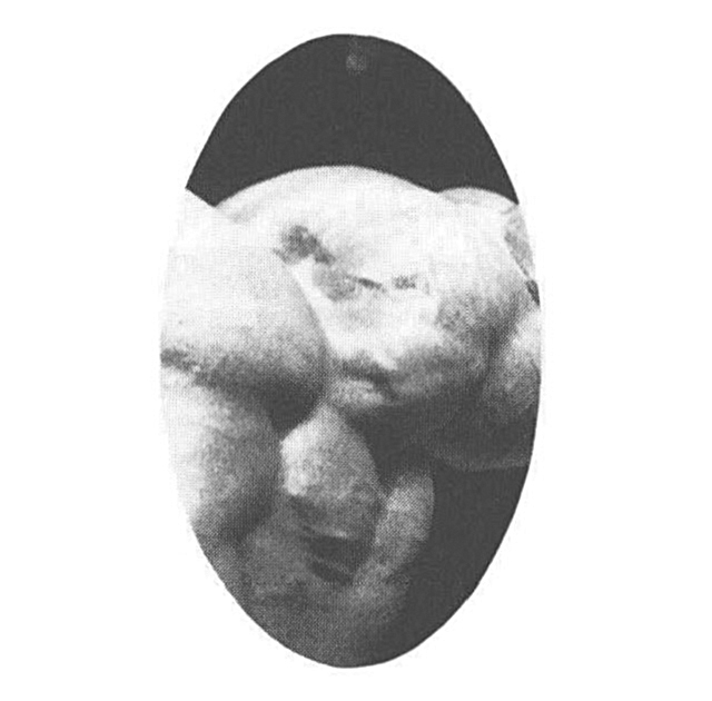 記事画像1
